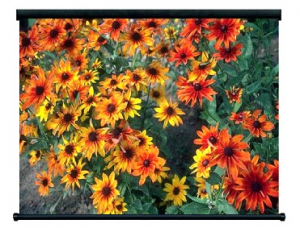 Портативный настенный экран ScreenMedia Easy