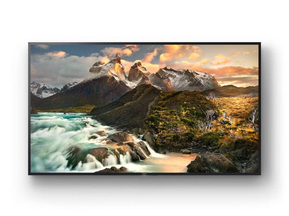 Профессиональный дисплей Bravia Sony FWD-100ZD9501