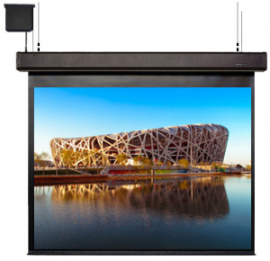 Мультиуправляемый экран ScreenMedia Skyshow