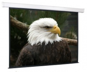 Настенный проекционный экран ScreenMedia Champion