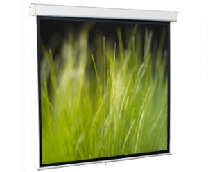 Настенный проекционный экран ScreenMedia Goldview
