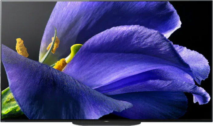 Профессиональный дисплей Bravia 4K Sony FWD-55A9G/T
