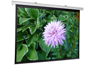 Стационарный экран ScreenMedia Fantasy-M