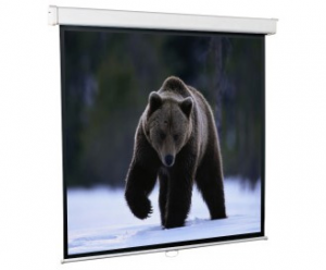Настенно-потолочный проекционный экран ScreenMedia Economy
