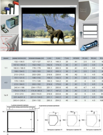 Настенный экран ScreenMedia Cyber-P