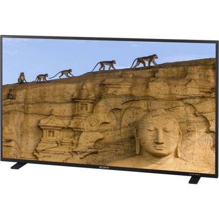 Монитор Sony PVM-X550