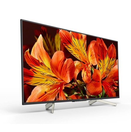 Профессиональный дисплей Bravia 4K HDR Sony FW-43BZ35F