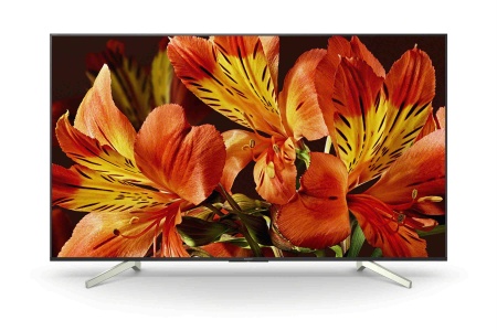 Профессиональный дисплей Bravia Sony FW-65BZ35F