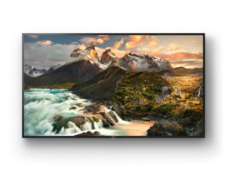 Профессиональный дисплей Bravia Sony FWD-100ZD9501