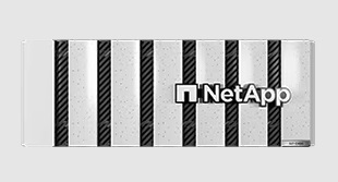 Система хранения данных NetApp AFF C800