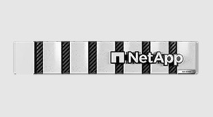 Система хранения данных NetApp AFF C250