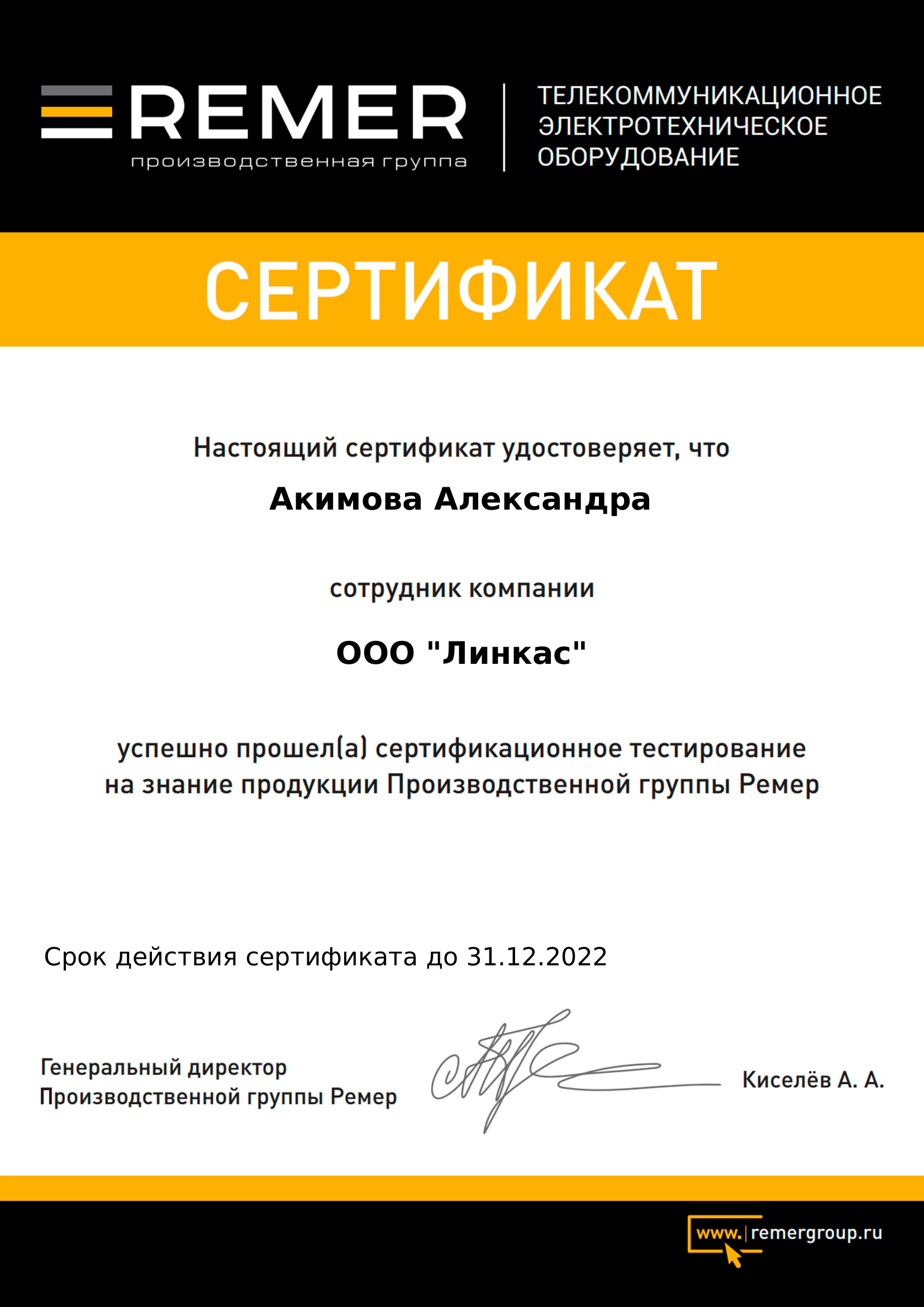 Сертификат партнера Remer Group
