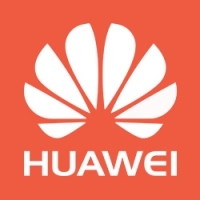 Магистральный кабель Huawei CAB-DL4362