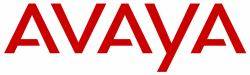 Программное обеспечение Avaya 396794