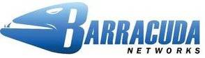 Barracuda SSL-VPN