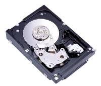 Fujitsu Жесткий диск SAS 146GB 15k 3Gb/s hot plug 3.5" (S26361-F3291-L514)