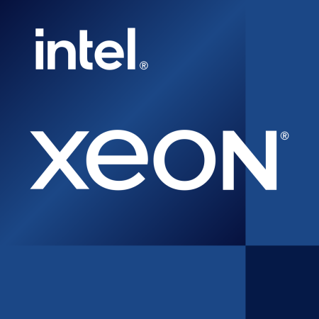 Серверный процессор Intel Xeon E-2324G