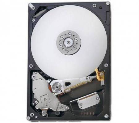Жесткий диск Fujitsu S26361-F3816-L500
